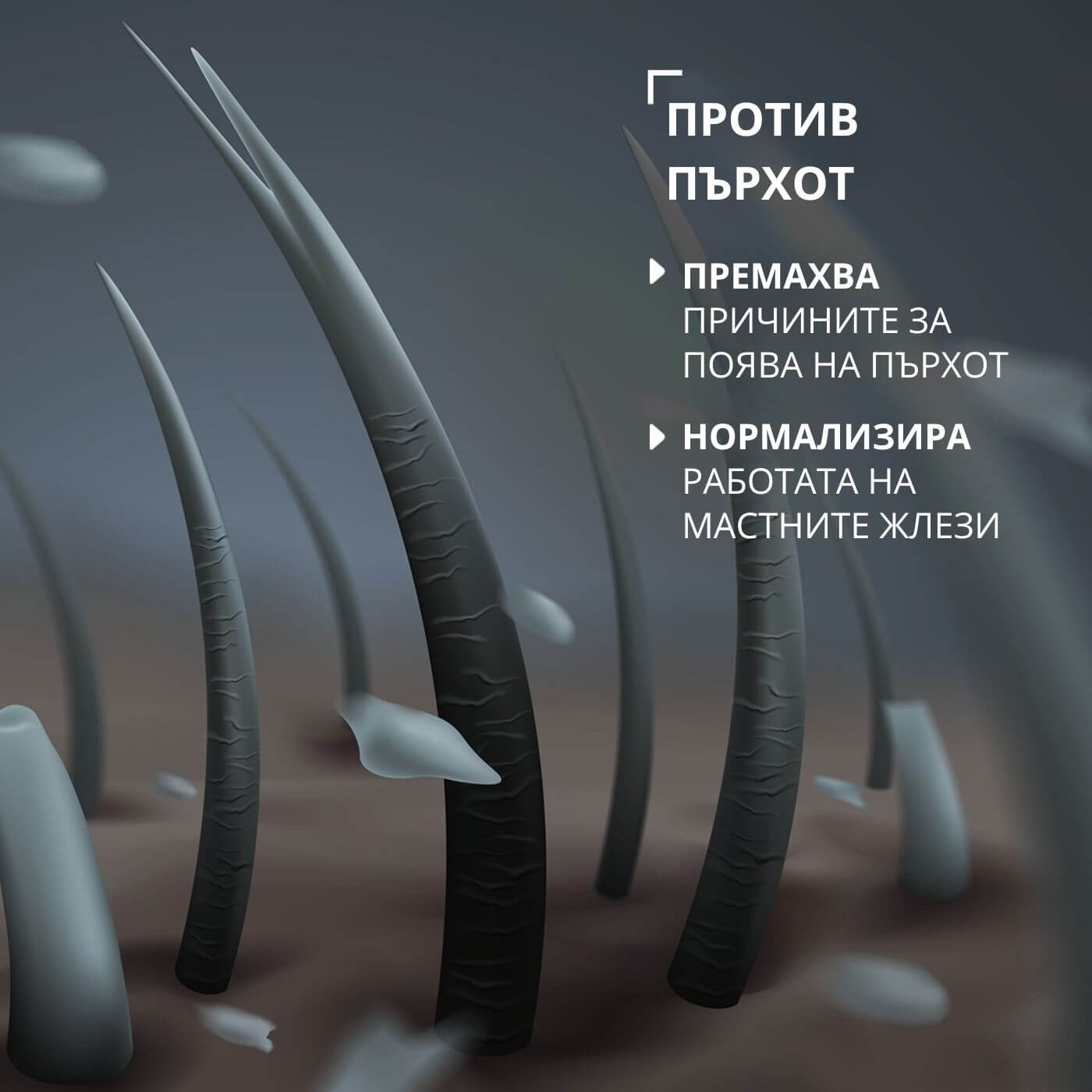 tiande (1081 x 1081 пиксела) (27)