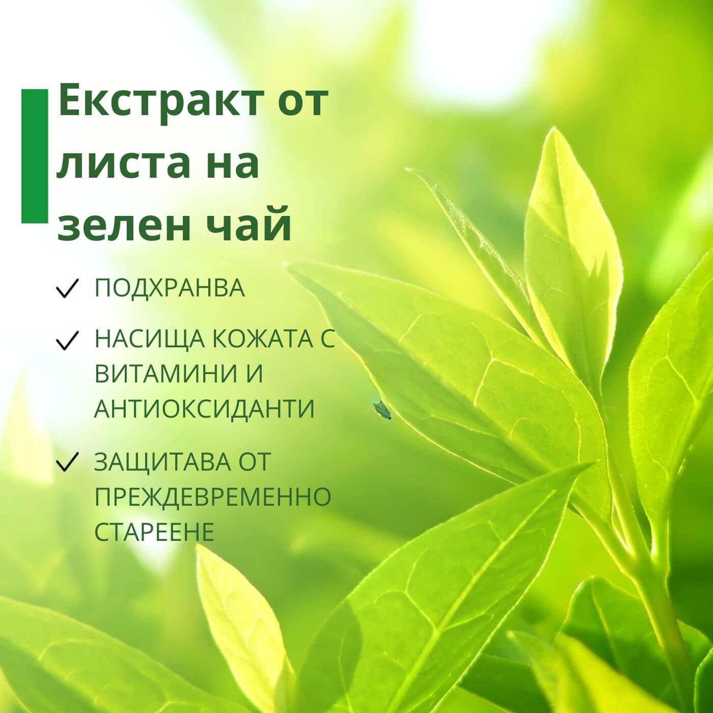 tiande (1081 x 1081 пиксела) (27)